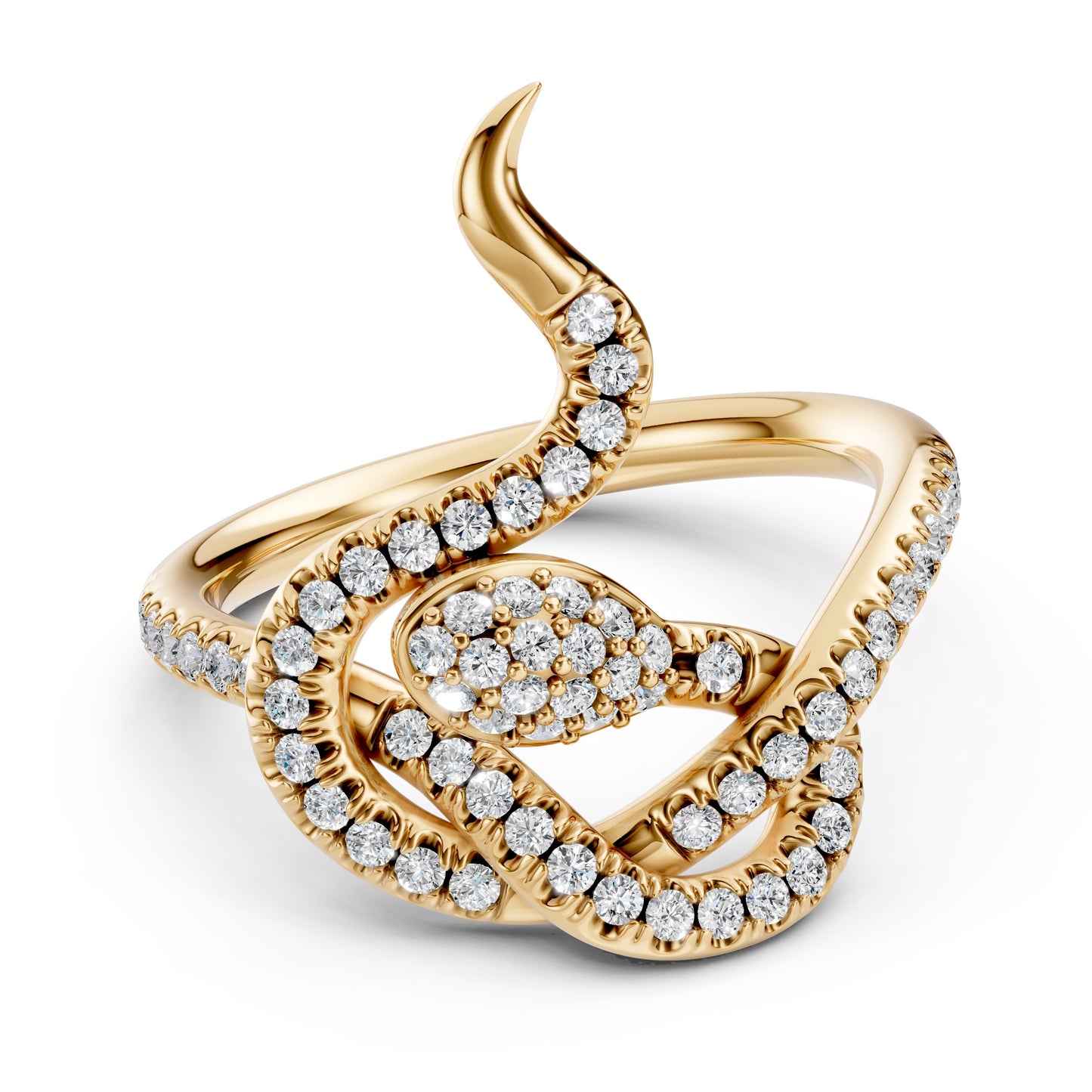 ANELLO ASPERIA OUROBOROS