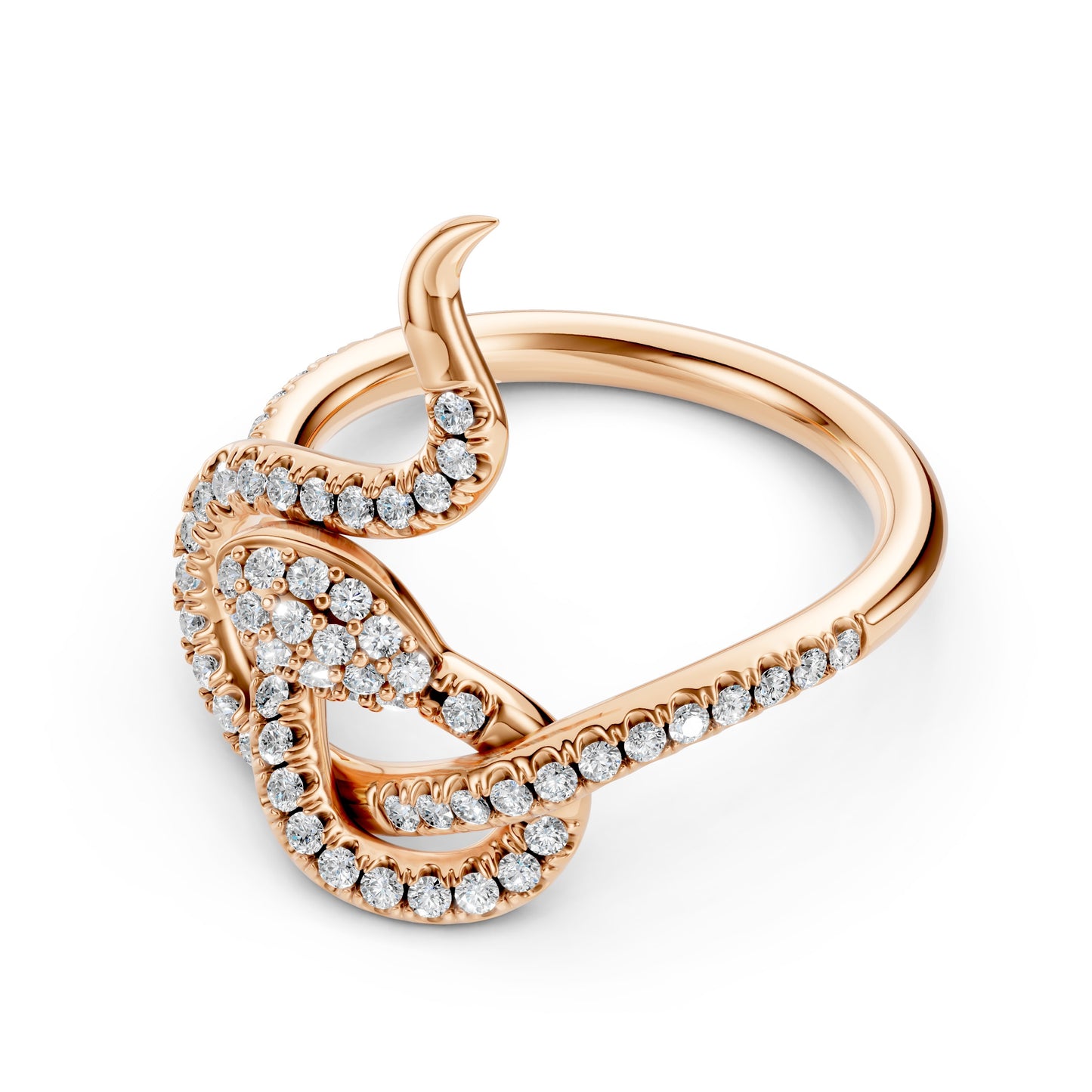 ANELLO ASPERIA OUROBOROS
