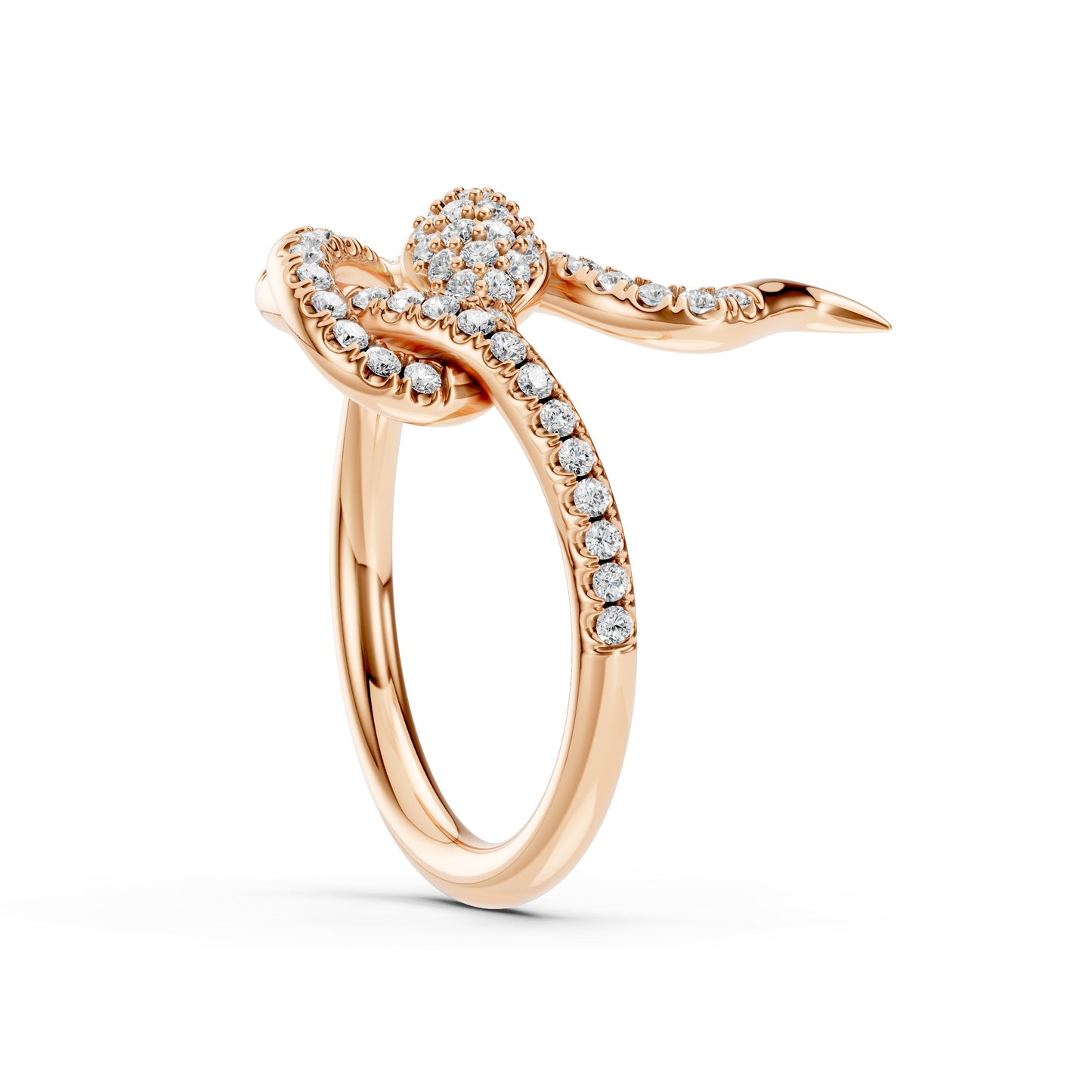 ANELLO ASPERIA OUROBOROS